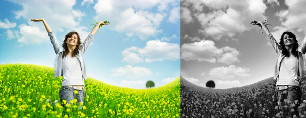 Web Design, Web Software