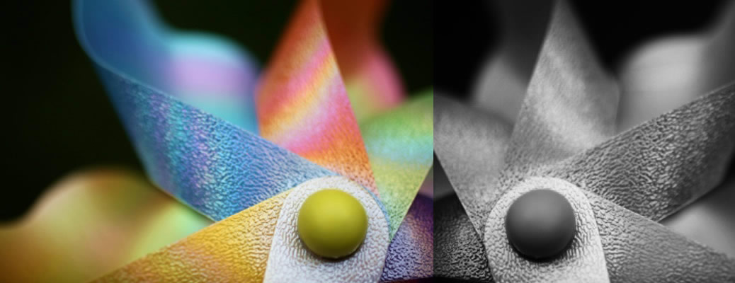 Website Maintenance, Hosting, DOmain Registration