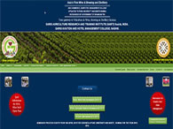 Web Design Portfolio